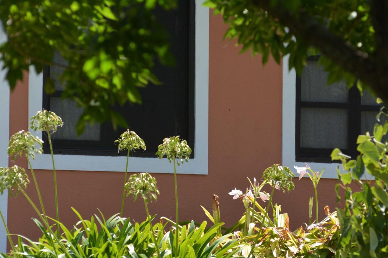 La Monturera, Loft De Campo Apartment โกโลเนีย เดล ซากราเมนโต ภายนอก รูปภาพ